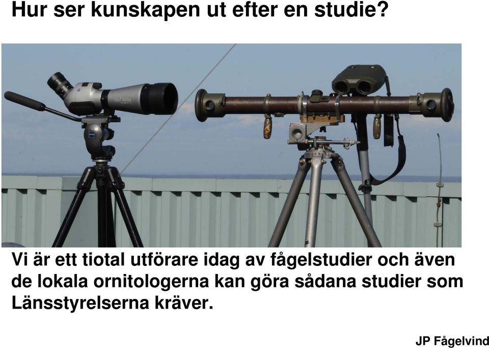 fågelstudier och även de lokala