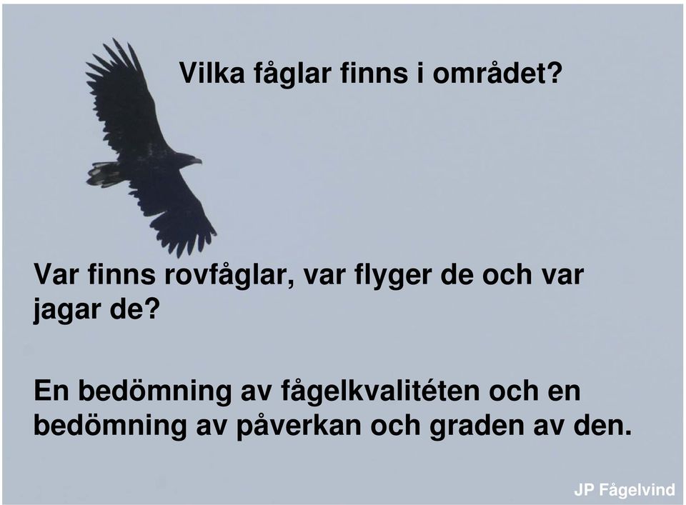 var jagar de?