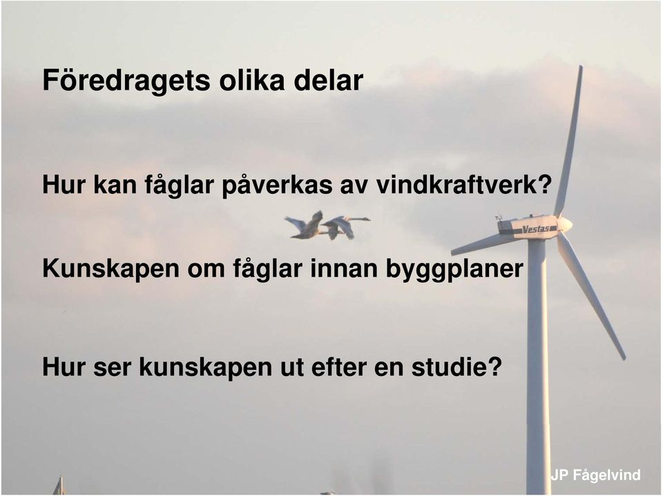 Kunskapen om fåglar innan