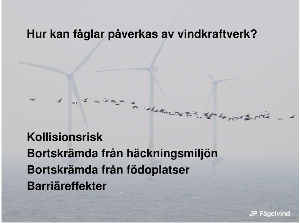 Kollisionsrisk Bortskrämda från
