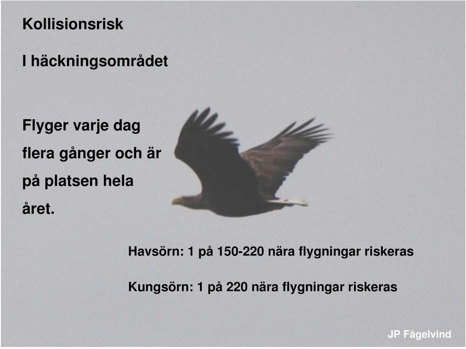 platsen hela året.