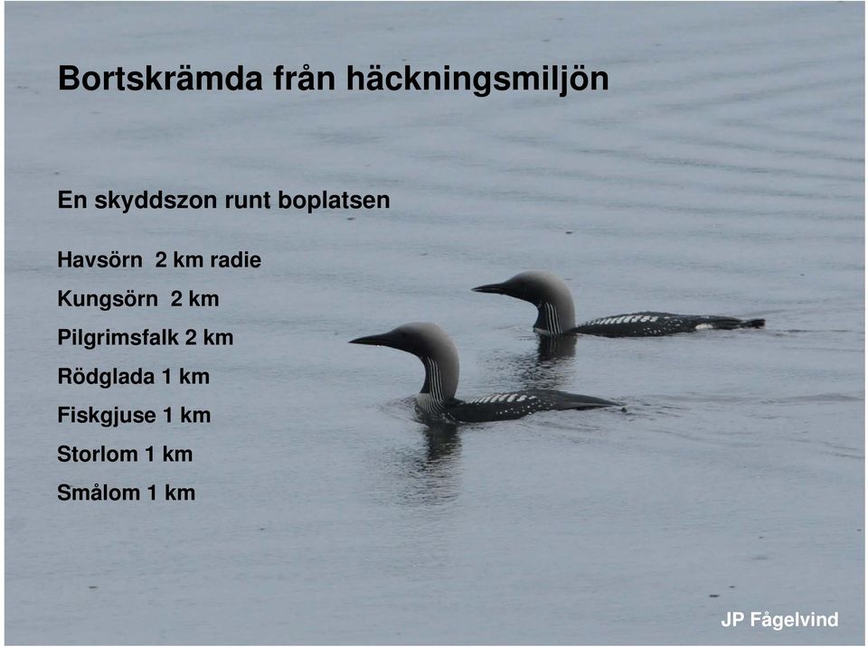 radie Kungsörn 2 km Pilgrimsfalk 2 km