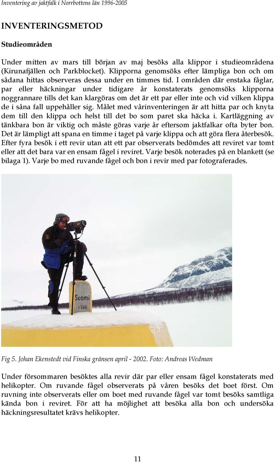 I områden där enstaka fåglar, par eller häckningar under tidigare år konstaterats genomsöks klipporna noggrannare tills det kan klargöras om det är ett par eller inte och vid vilken klippa de i såna