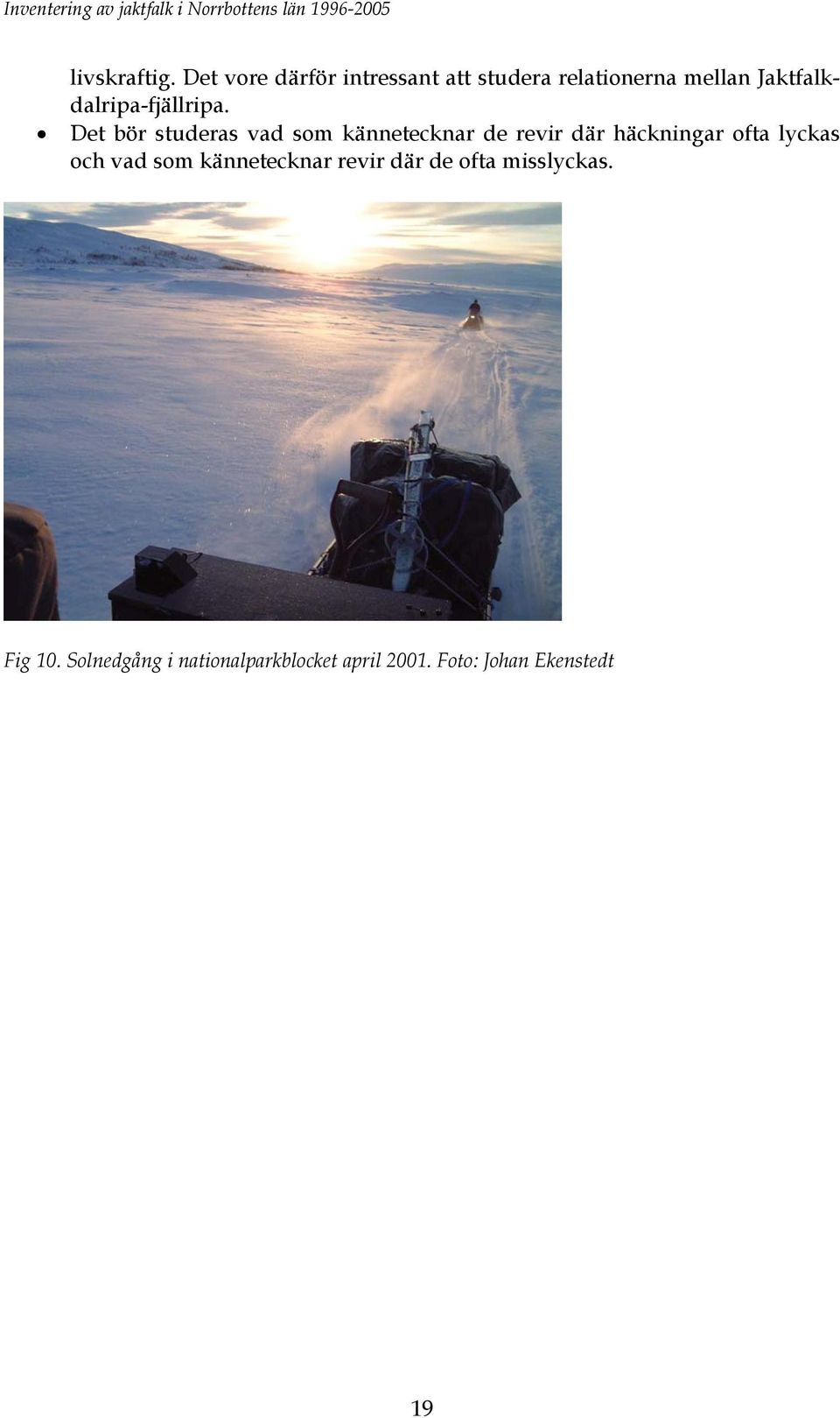 Jaktfalkdalripa-fjällripa.