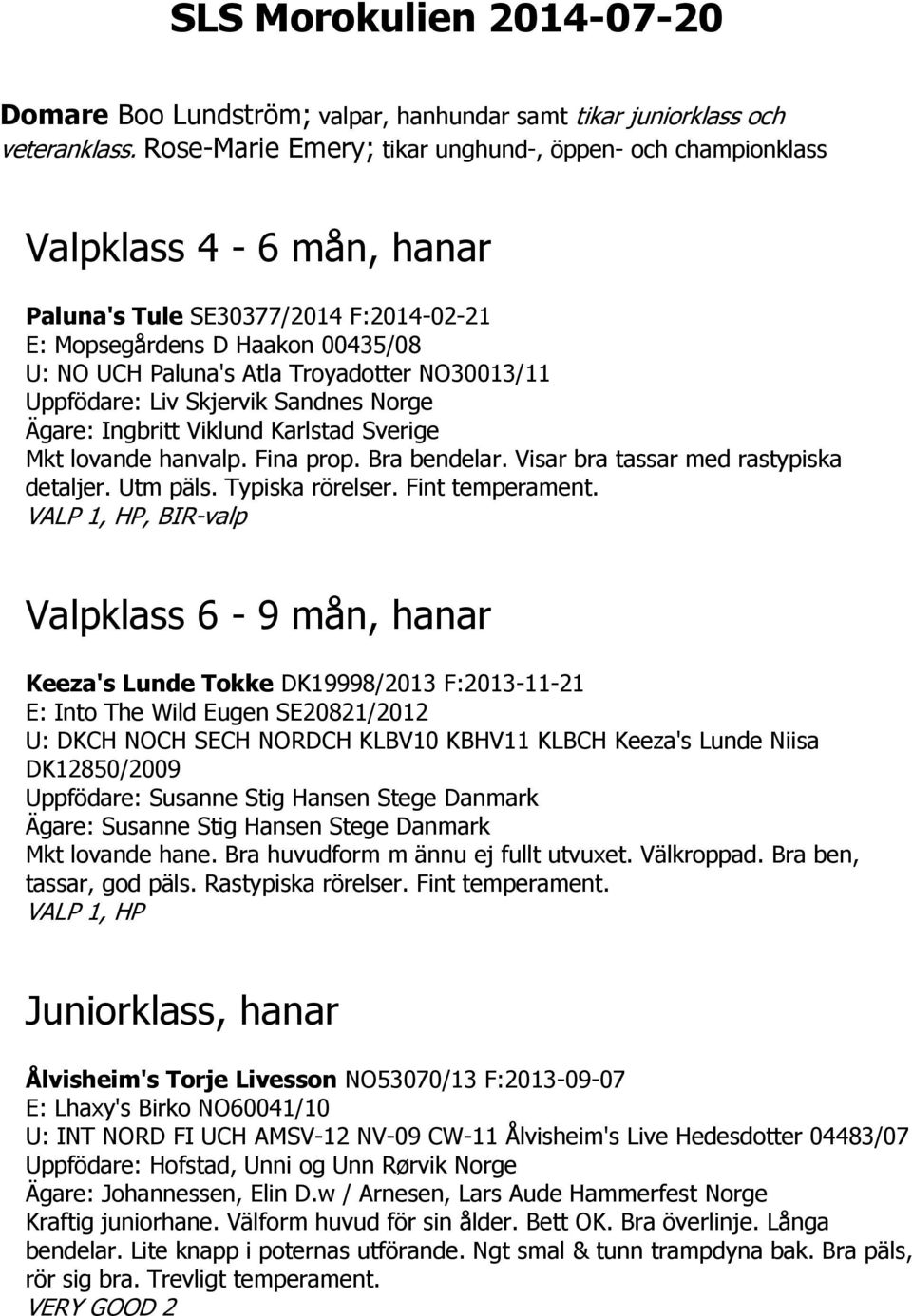 NO30013/11 Uppfödare: Liv Skjervik Sandnes Norge Ägare: Ingbritt Viklund Karlstad Sverige Mkt lovande hanvalp. Fina prop. Bra bendelar. Visar bra tassar med rastypiska detaljer. Utm päls.