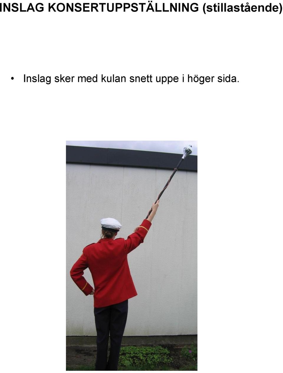 (stillastående) Inslag