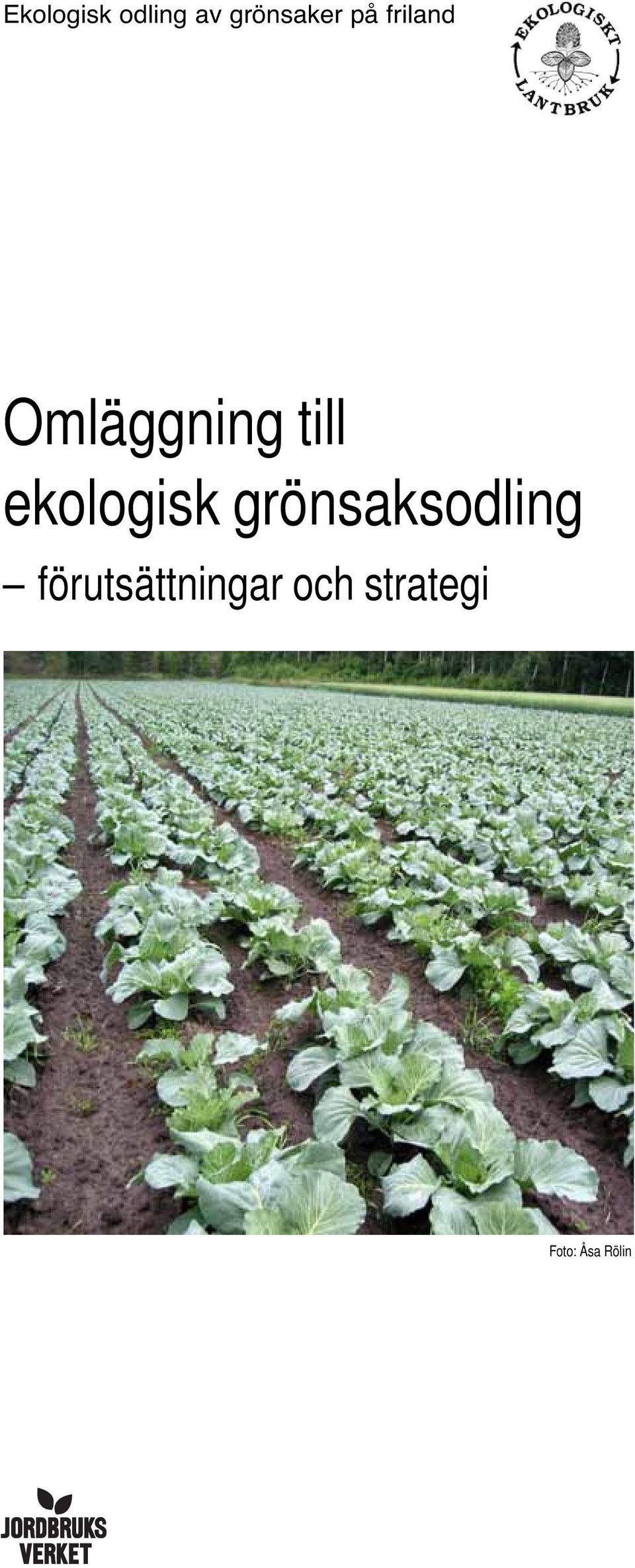 ekologisk grönsaksodling