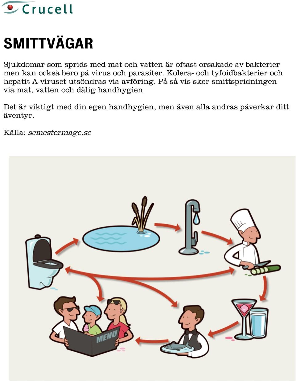 Kolera- och tyfoidbakterier och hepatit A-viruset utsöndras via avföring.