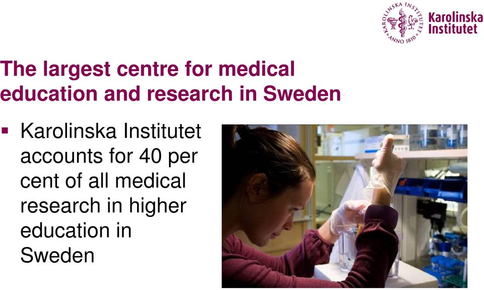 Institutet accounts for 40 per cent of