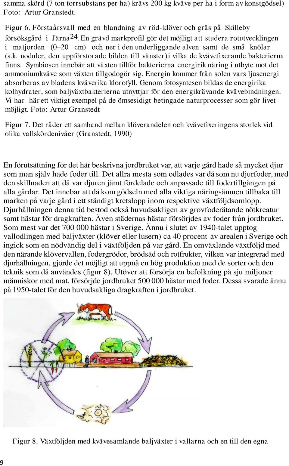 En grävd markprofil gör det möjligt att studera rotutvecklingen i matjorden (0 20 cm) och ner i den underliggande alven samt de små knölar (s.k. noduler, den uppförstorade bilden till vänster) i vilka de kvävefixerande bakterierna finns.