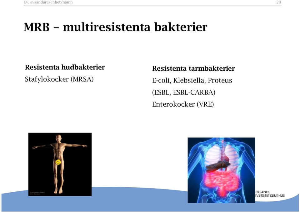 tarmbakterier Stafylokocker (MRSA)