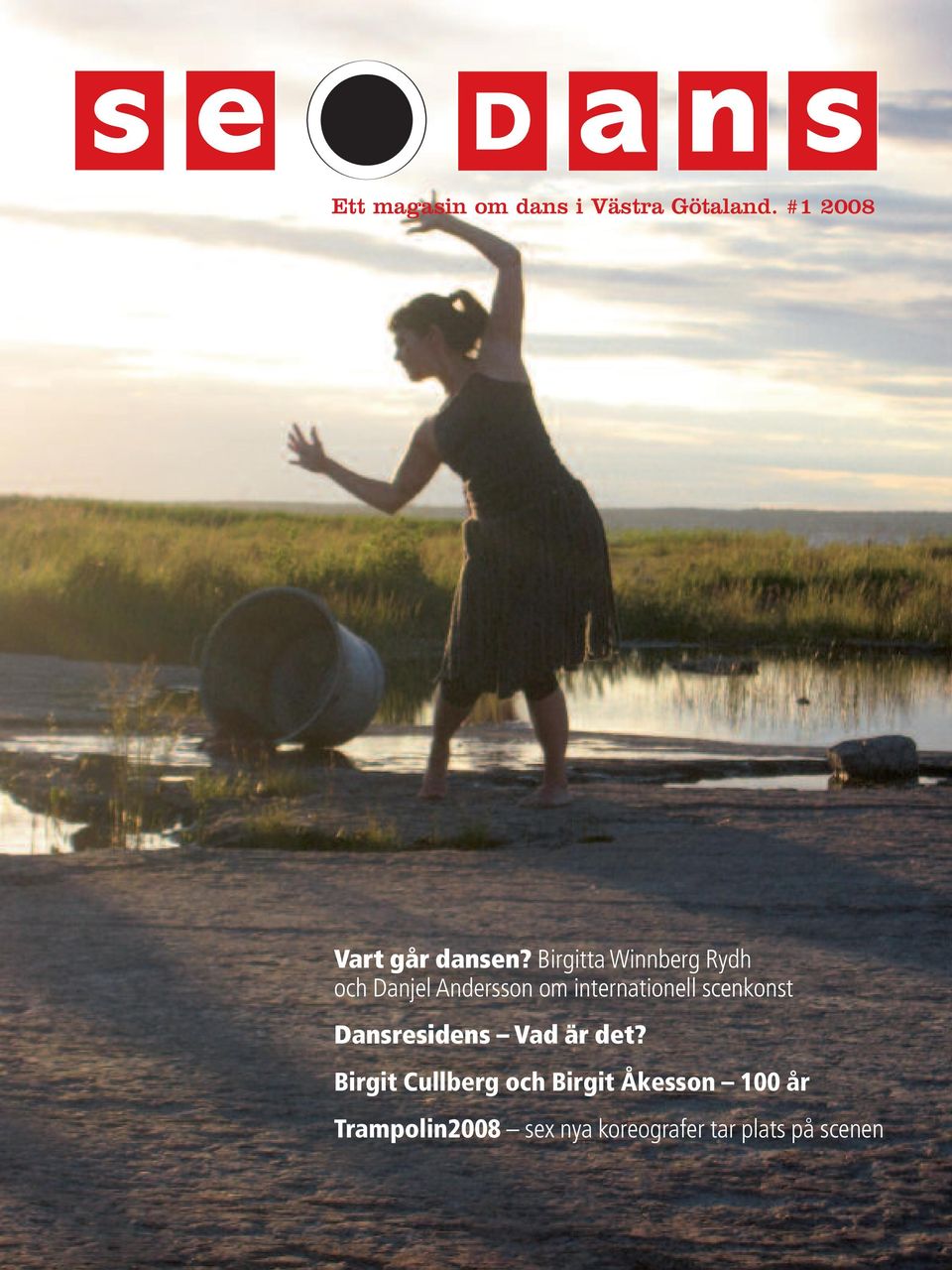 scenkonst Dansresidens Vad är det?