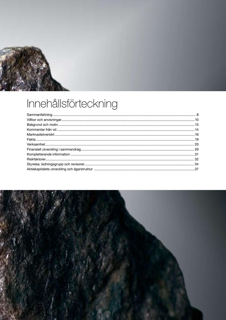.. 20 Finansiell utveckling i sammandrag... 29 Kompletterande information.