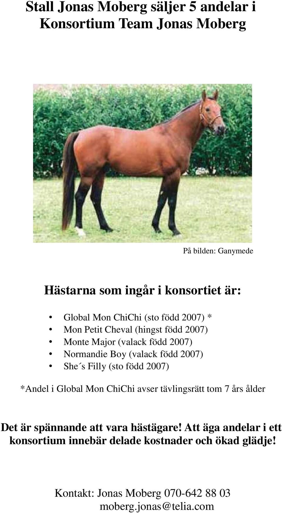 She s Filly (sto född 2007) *Andel i Global Mon ChiChi avser tävlingsrätt tom 7 års ålder Det är spännande att vara hästägare!