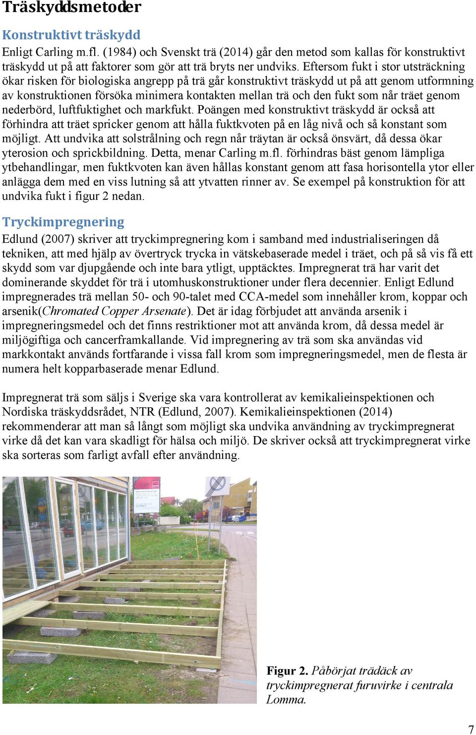 som når träet genom nederbörd, luftfuktighet och markfukt.