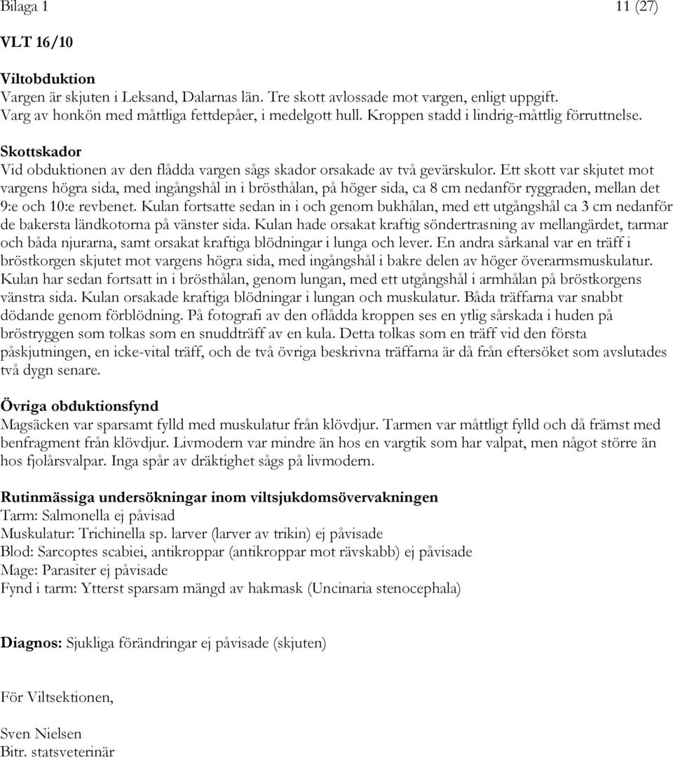 Ett skott var skjutet mot vargens högra sida, med ingångshål in i brösthålan, på höger sida, ca 8 cm nedanför ryggraden, mellan det 9:e och 10:e revbenet.