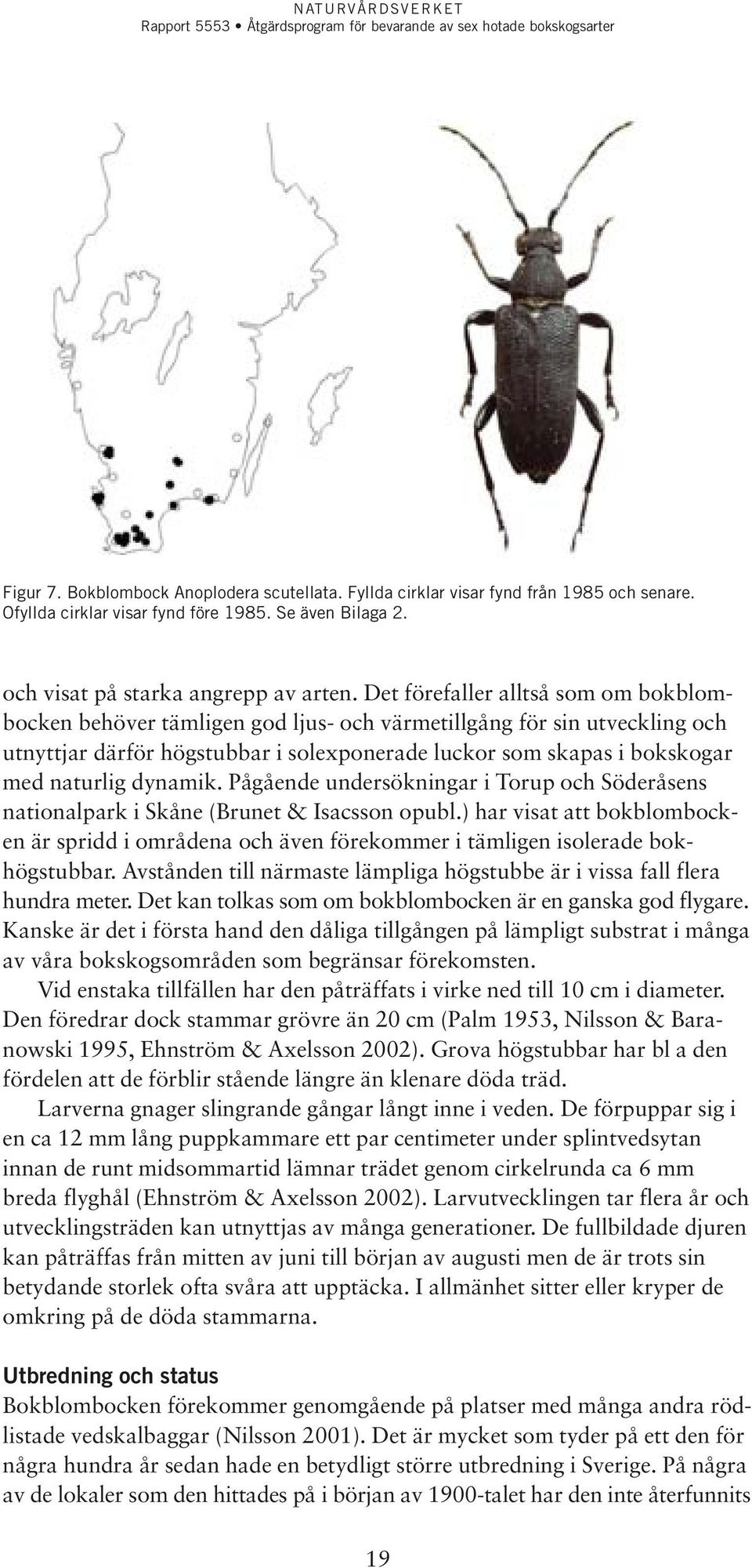 dynamik. Pågående undersökningar i Torup och Söderåsens nationalpark i Skåne (Brunet & Isacsson opubl.