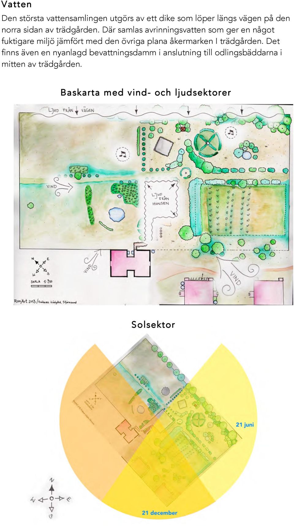 Där samlas avrinningsvatten som ger en något fuktigare miljö jämfört med den övriga plana