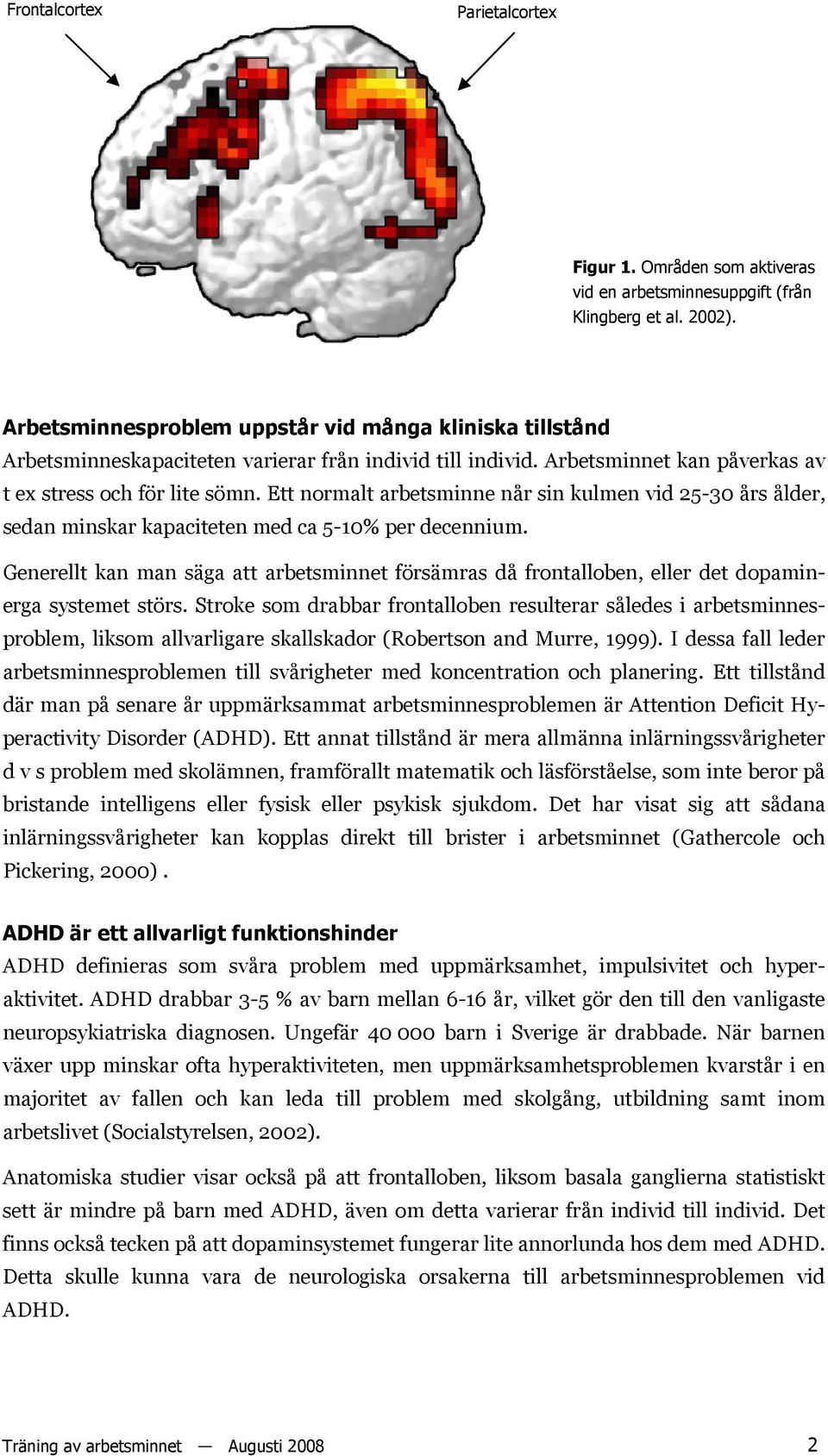Ett normalt arbetsminne når sin kulmen vid 25-30 års ålder, sedan minskar kapaciteten med ca 5-10% per decennium.