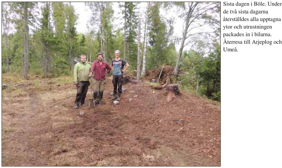 återställdes alla upptagna ytor och