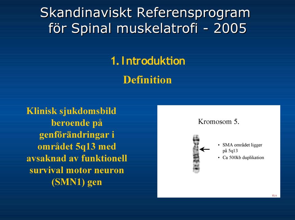 avsaknad av funktionell survival motor neuron (SMN1)