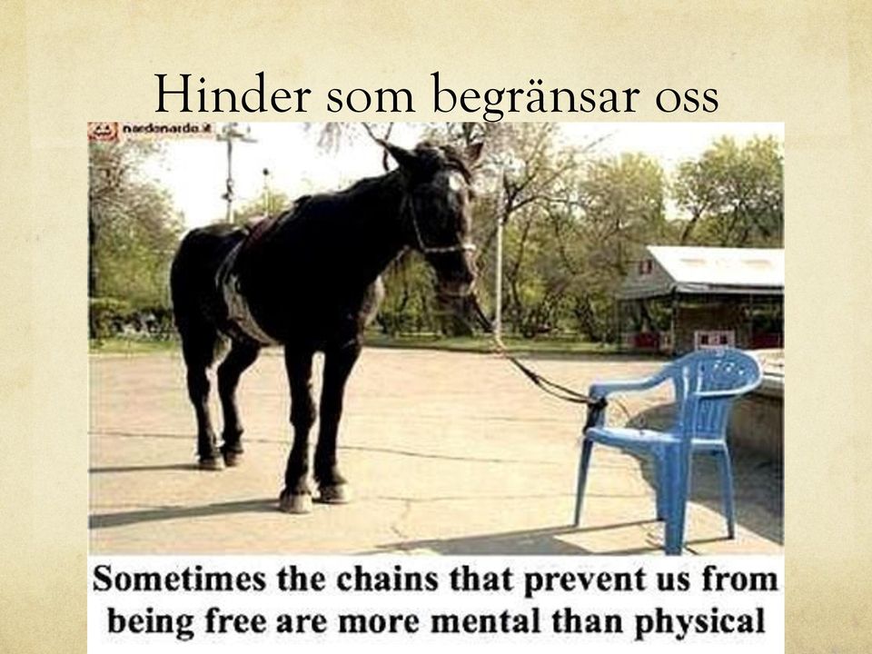 begränsar