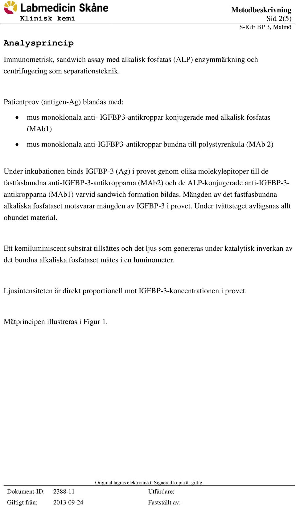 Under inkubationen binds IGFBP-3 (Ag) i provet genom olika molekylepitoper till de fastfasbundna anti-igfbp-3-antikropparna (MAb2) och de ALP-konjugerade anti-igfbp-3- antikropparna (MAb1) varvid