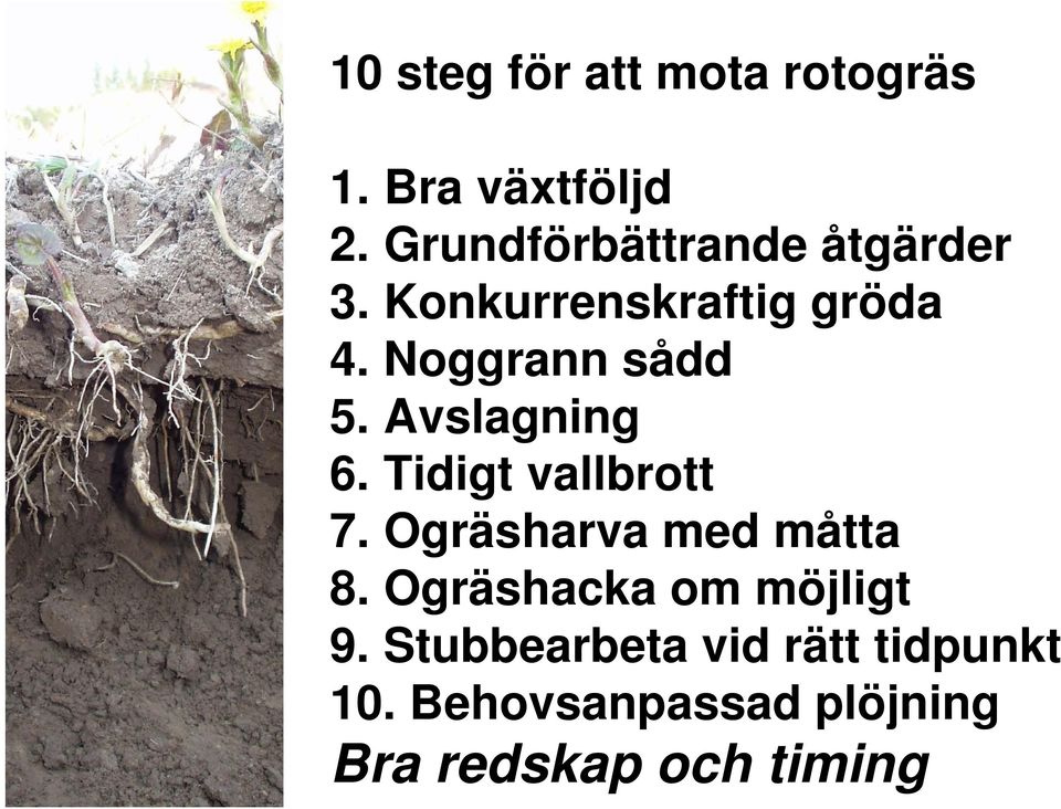 Noggrann sådd 5. Avslagning 6. Tidigt vallbrott 7.