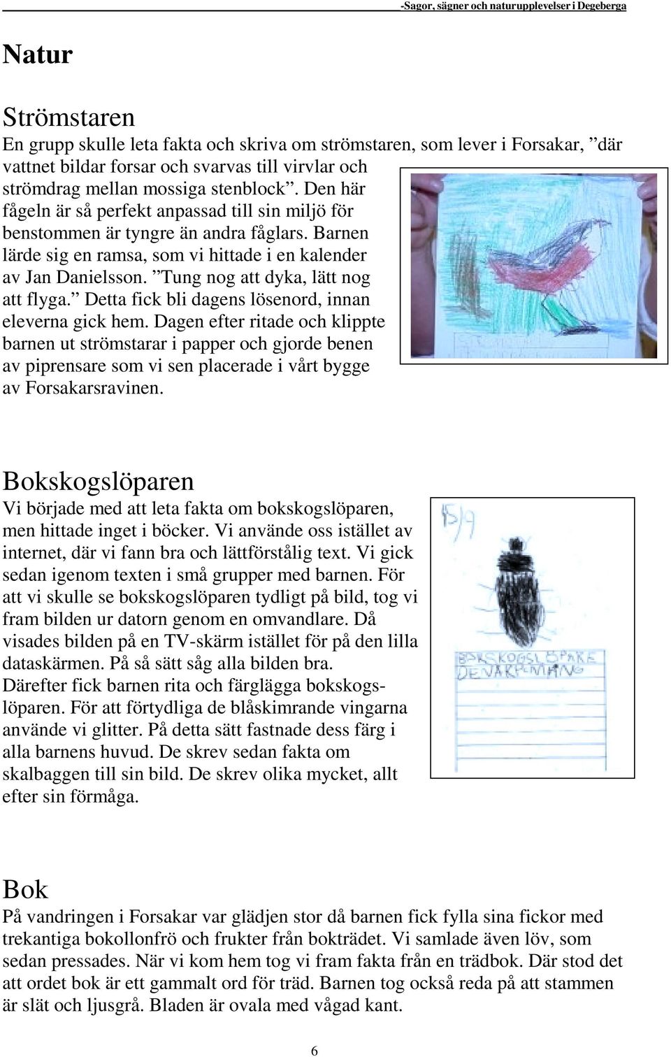 Tung nog att dyka, lätt nog att flyga. Detta fick bli dagens lösenord, innan eleverna gick hem.
