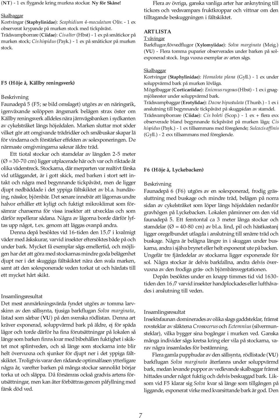 Cis hispidus (Payk.) - 1 ex på småtickor på murken stock.