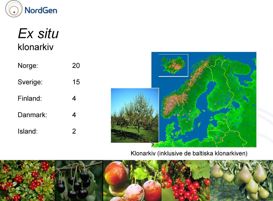 Danmark: 4 Island: 2