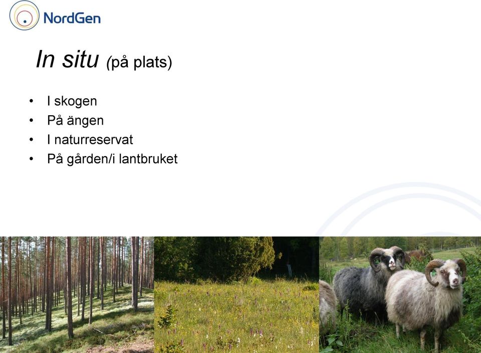 I naturreservat På
