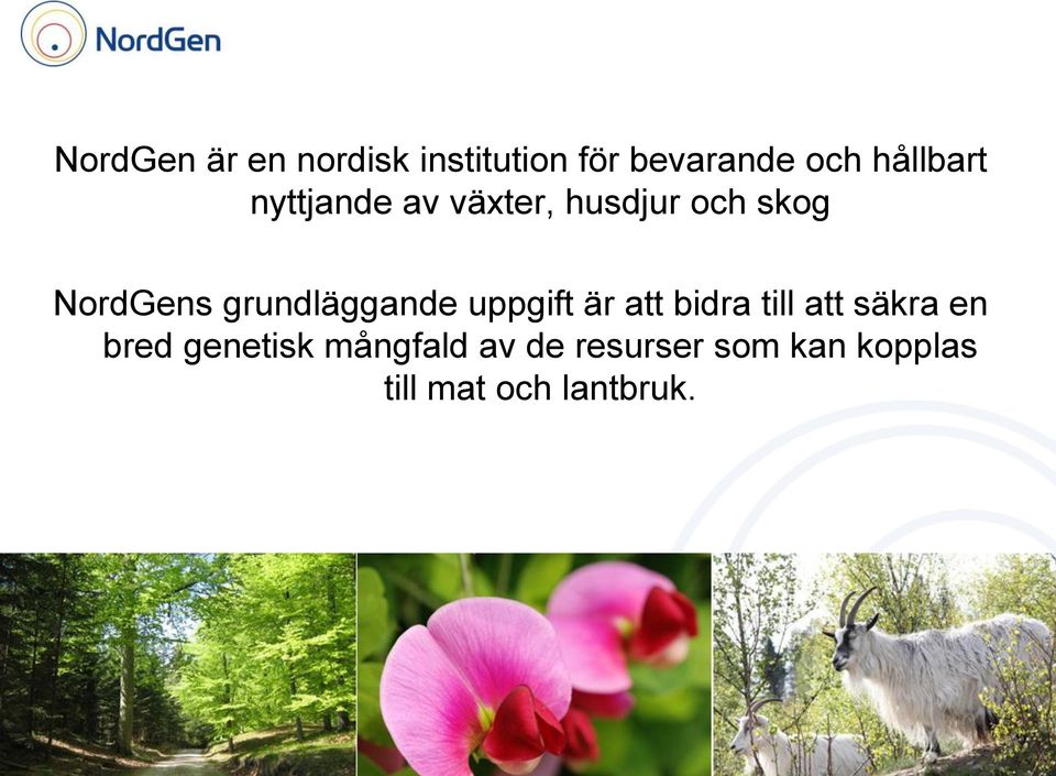 grundläggande uppgift är att bidra till att säkra en bred