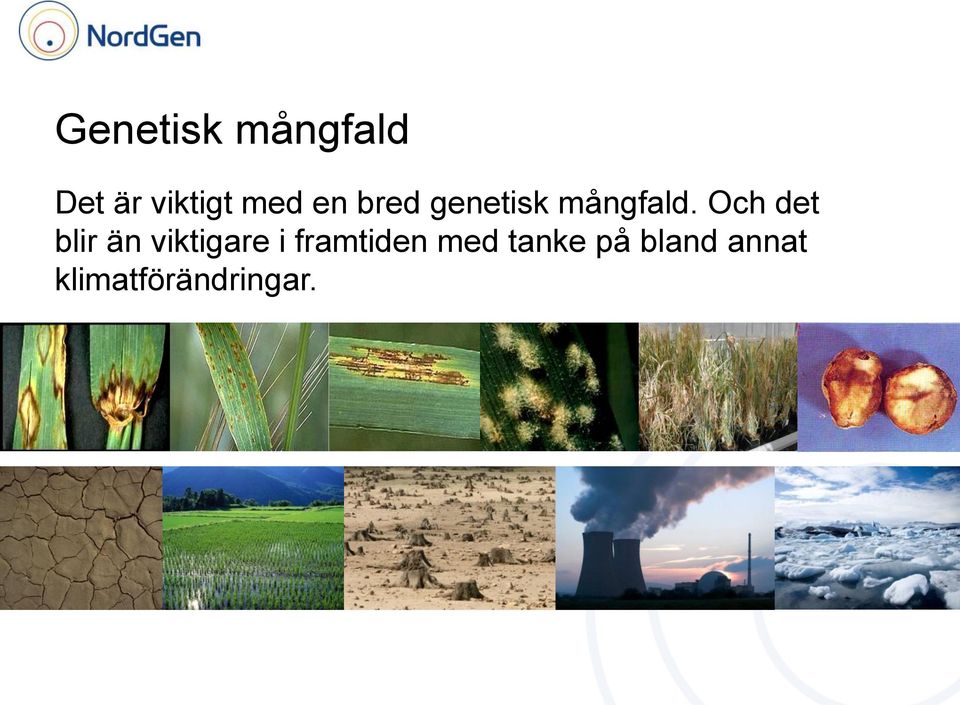 Och det blir än viktigare i