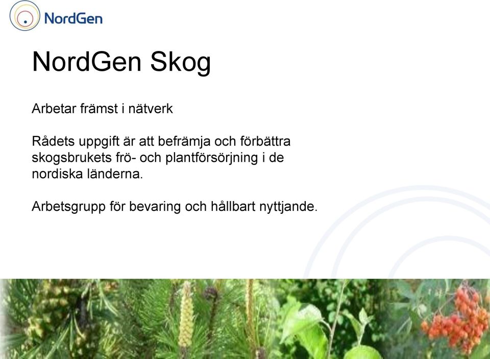 skogsbrukets frö- och plantförsörjning i de