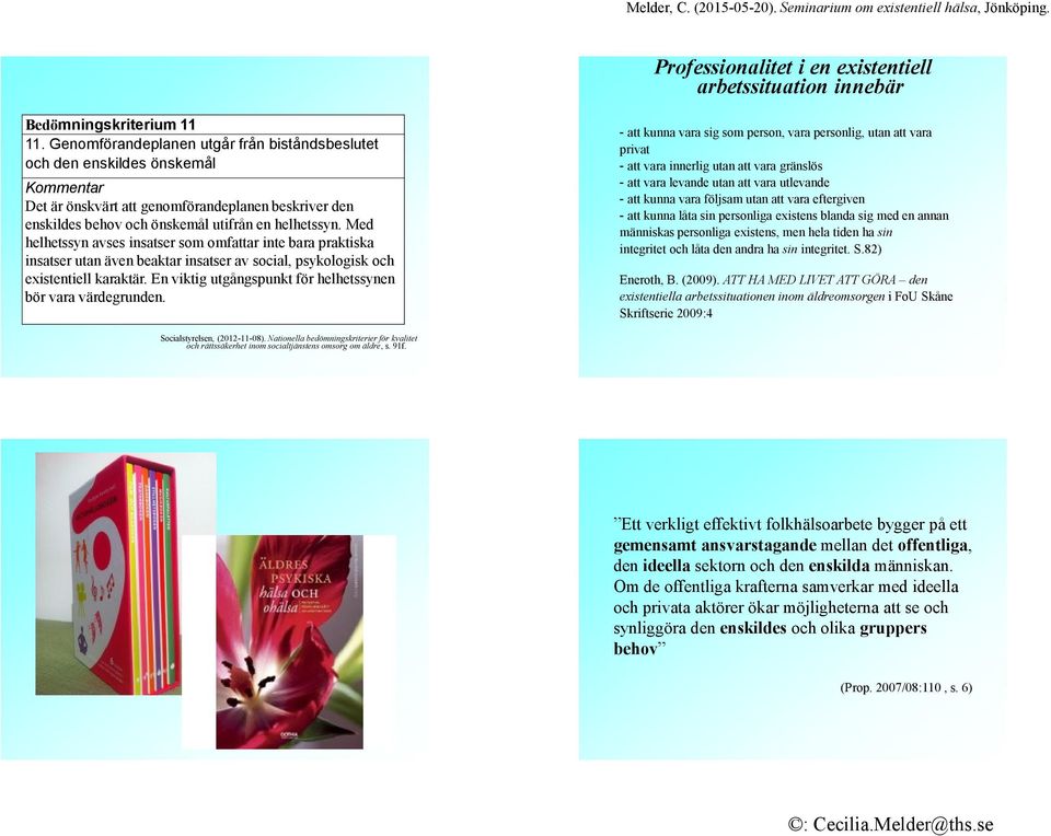 Med helhetssyn avses insatser som omfattar inte bara praktiska insatser utan även beaktar insatser av social, psykologisk och existentiell karaktär.