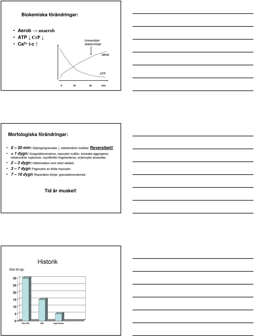 < 1 dygn: Koagulationsnekros, myocyter sväller, kromatin aggregerar, mitokondrier rupturerar, myofibriller fragmenteras, erytrocyter