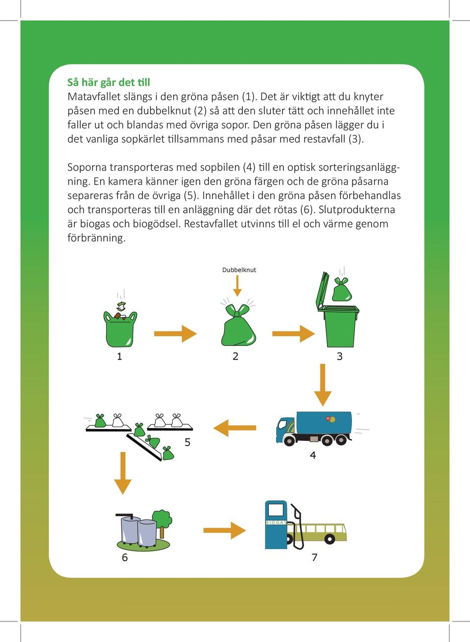 Den gröna påsen lägger du i det vanliga sopkärlet tillsammans med påsar med restavfall (3). Soporna transporteras med sopbilen (4) till en optisk sorteringsanläggning.