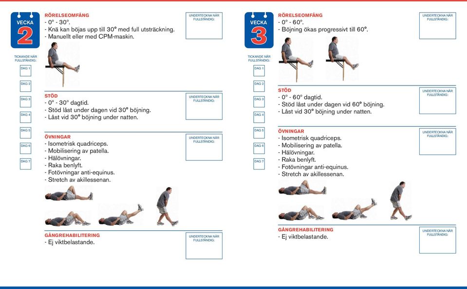 DAG 6 - Mobilisering av patella. - Hälövningar. - Raka benlyft. - Fotövningar anti-equinus. - Stretch av akillessenan. - Isometrisk quadriceps. - Mobilisering av patella. - Hälövningar. - Raka benlyft. - Fotövningar anti-equinus. - Stretch av akillessenan. - Ej viktbelastande.