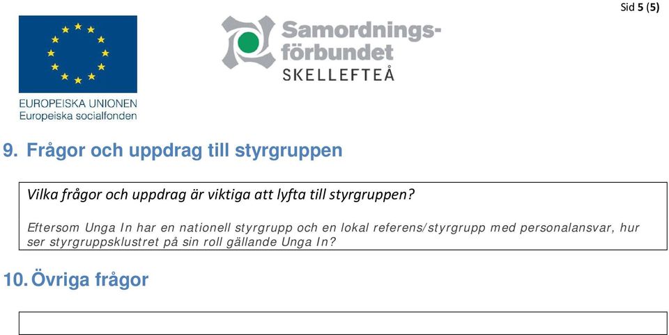 viktiga att lyfta till styrgruppen?