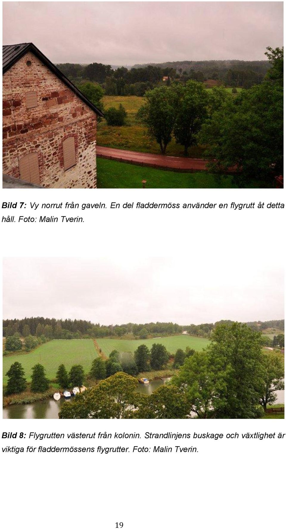 Foto: Malin Tverin. Bild 8: Flygrutten västerut från kolonin.