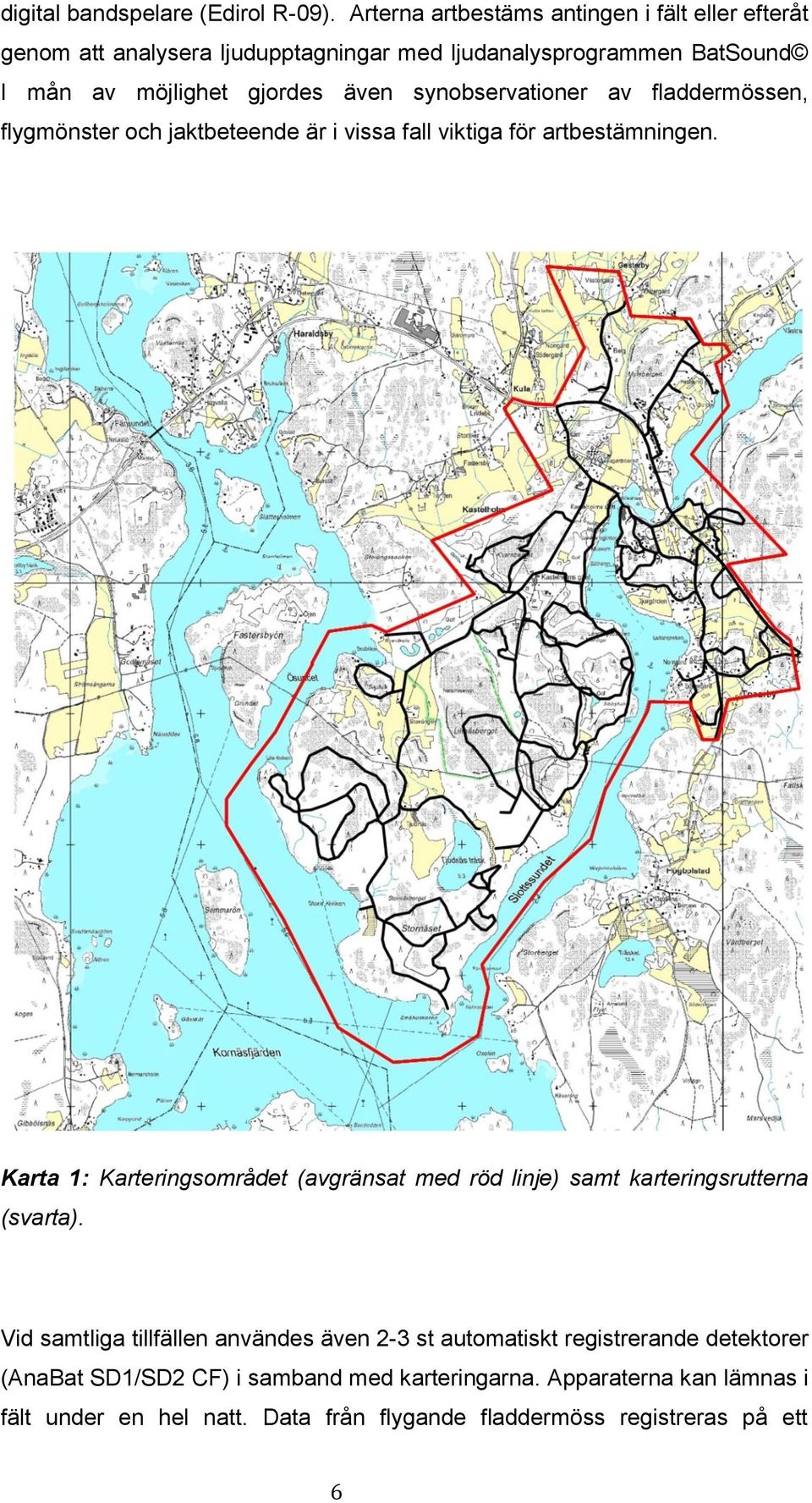 synobservationer av fladdermössen, flygmönster och jaktbeteende är i vissa fall viktiga för artbestämningen.