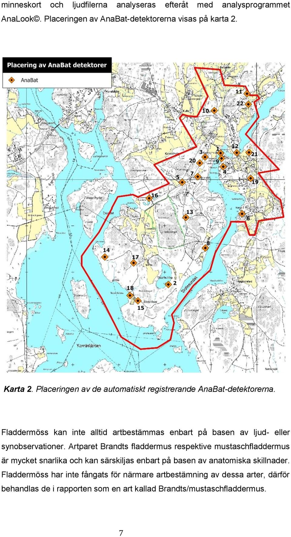 Fladdermöss kan inte alltid artbestämmas enbart på basen av ljud- eller synobservationer.