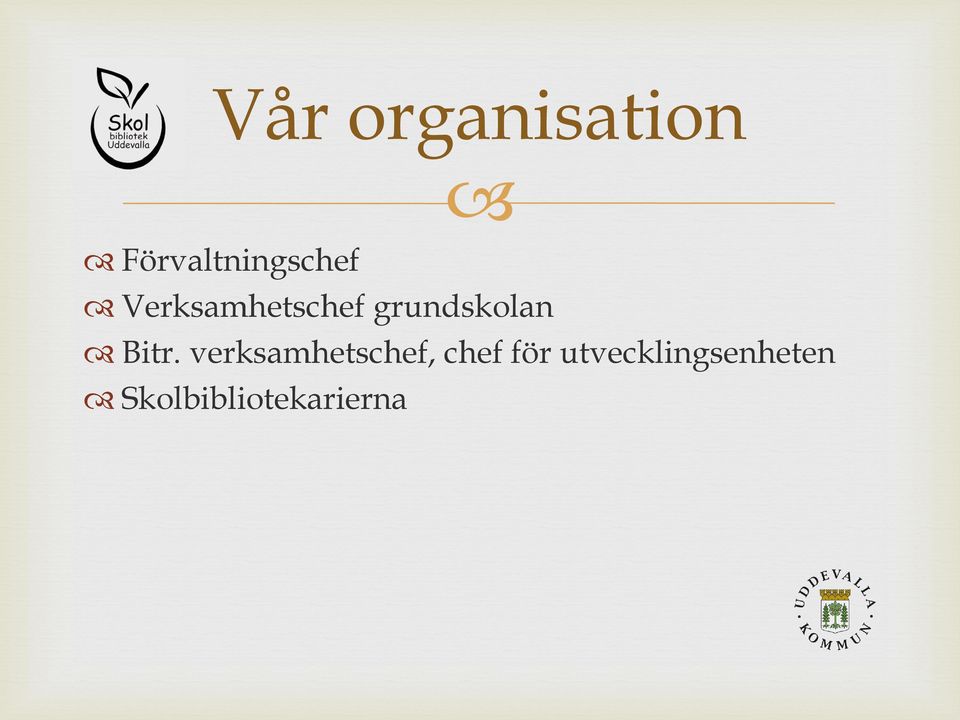 verksamhetschef, chef för