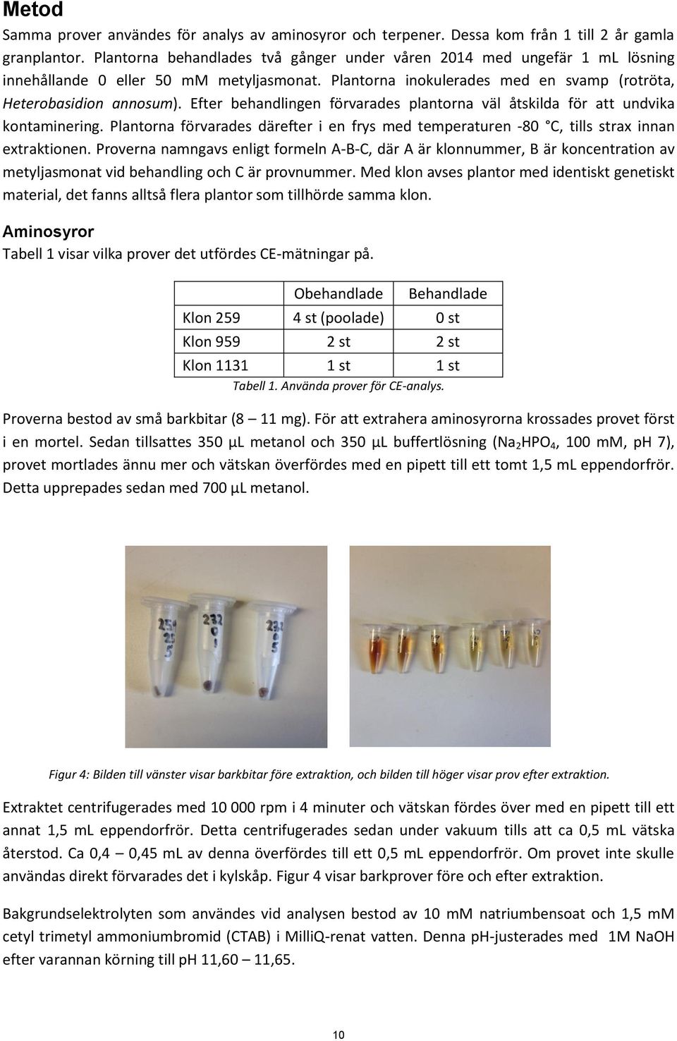 Efter behandlingen förvarades plantorna väl åtskilda för att undvika kontaminering. Plantorna förvarades därefter i en frys med temperaturen -80 C, tills strax innan extraktionen.
