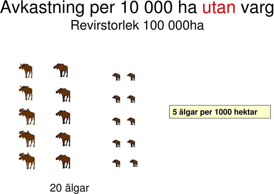 Revirstorlek 100 000ha