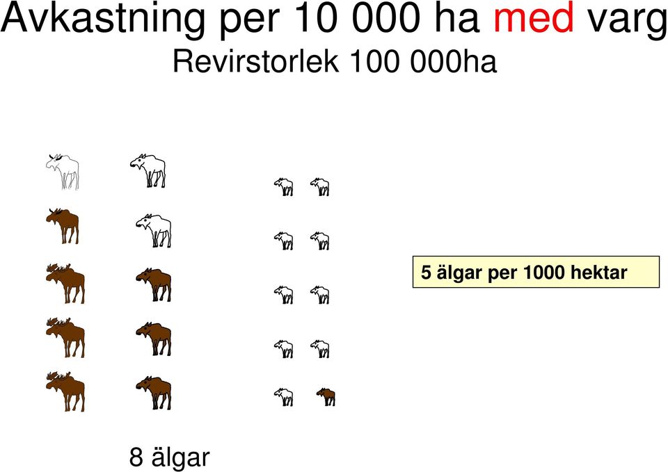 Revirstorlek 100