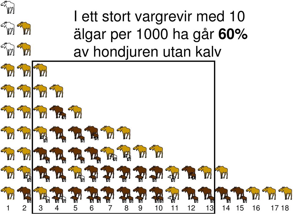 hondjuren utan kalv 1 2 3 4 5