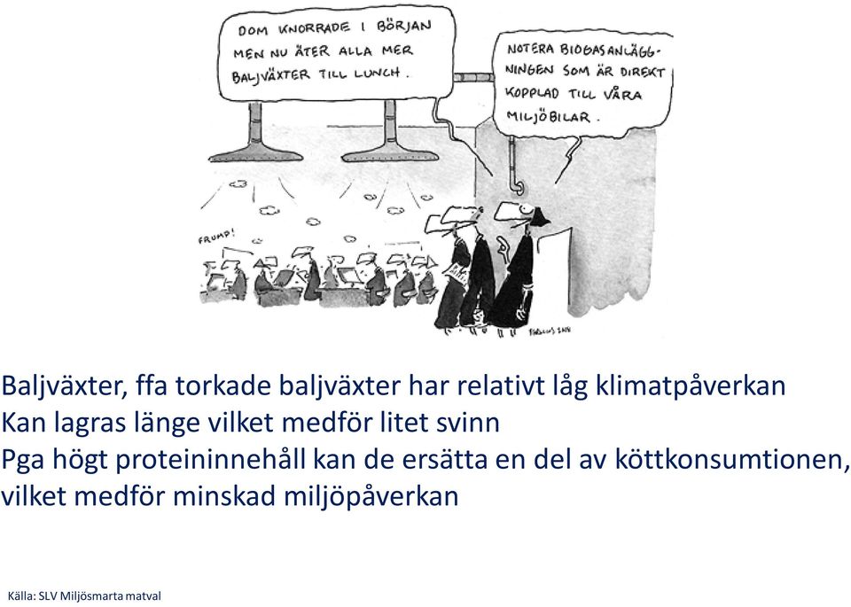 Pga högt proteininnehåll kan de ersätta en del av