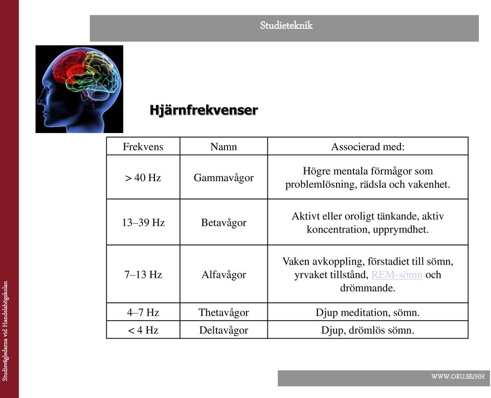 13 39 Hz Betavågor Aktivt eller oroligt tänkande, aktiv koncentration, upprymdhet.